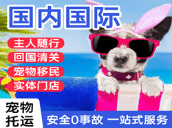 首都机场空运国际宠物托运 【国